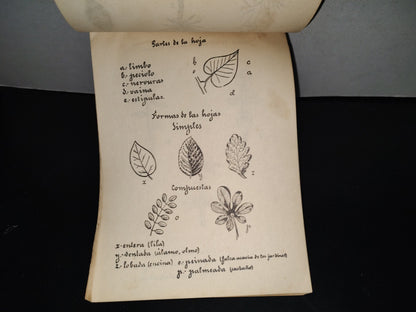 139- Antiguo Libro De Primaria. Colección De Ciencias Naturales, 3Er. Año - 50'S - 60'S
