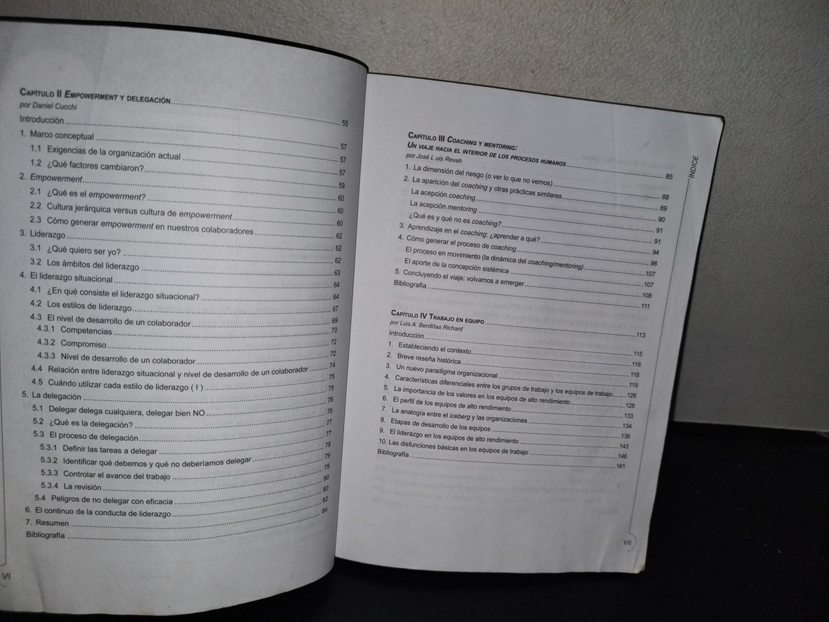 114- Habilidades Directivas Para Un Nuevo Management - Roberto Rabouin - 2008