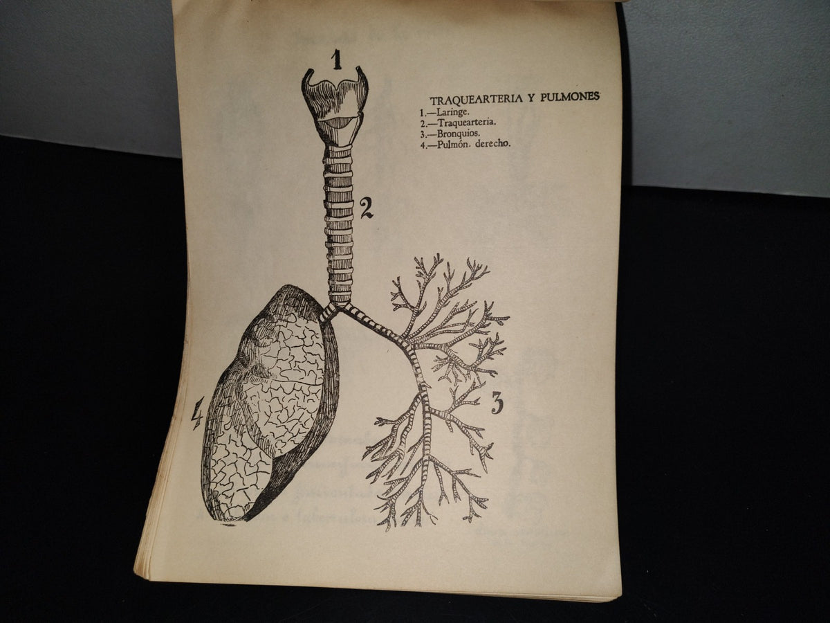 139- Antiguo Libro De Primaria. Colección De Ciencias Naturales, 3Er. Año - 50'S - 60'S