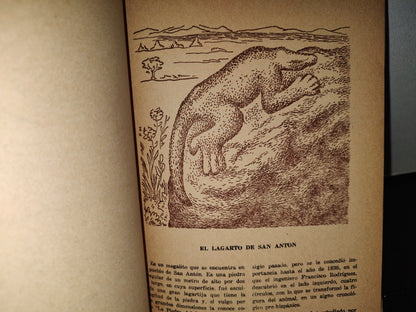 83- Cuernavaca. Visión Retrospectiva De Una Ciudad - Valentín López González - Primera Edición 1966