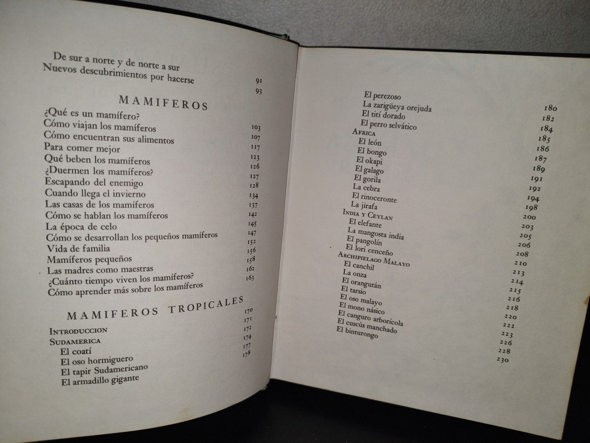145- Mis Primeros Conocimientos. Animales Prehstóricos, Mamíferos... - Editorial Cumbre 1981