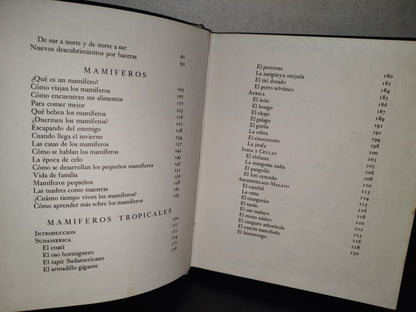 145- Mis Primeros Conocimientos. Animales Prehstóricos, Mamíferos... - Editorial Cumbre 1981