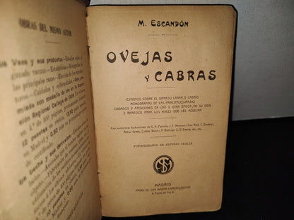 59- Ovejas Y Cabras - M. Escandón - Madrid, Ángel De San Martín, Librero Editor - 1900'S