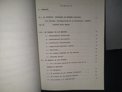 34- El Trabajo De Los Menores - Joé Arturo Muñoz Gálvez