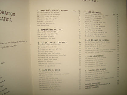 1- Vida Secreta De Los Animales Walt Disney - 1968