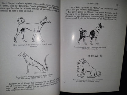 66- Perros De Caza - Fernando Huerta Ramírez - Editorial Hispanoeuropea 1968
