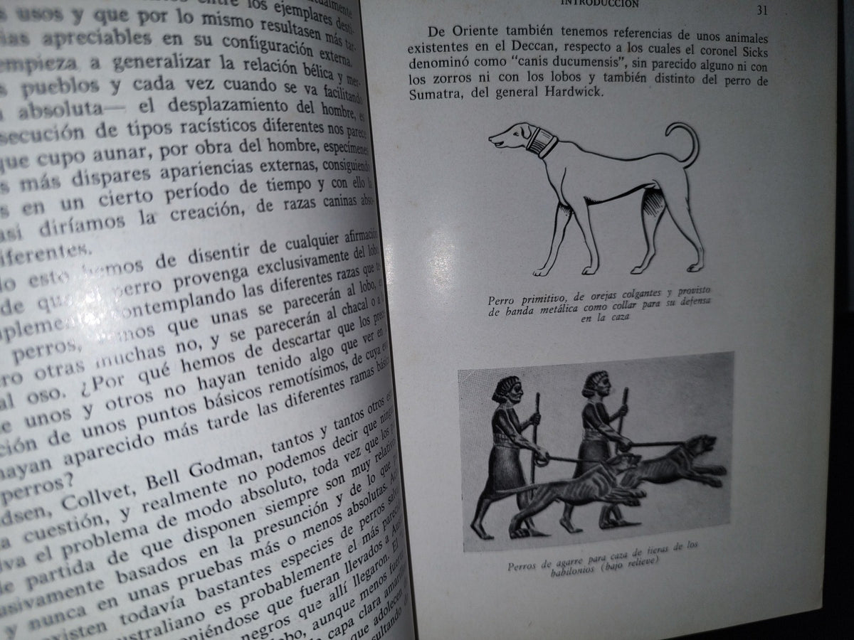 66- Perros De Caza - Fernando Huerta Ramírez - Editorial Hispanoeuropea 1968