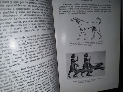 66- Perros De Caza - Fernando Huerta Ramírez - Editorial Hispanoeuropea 1968
