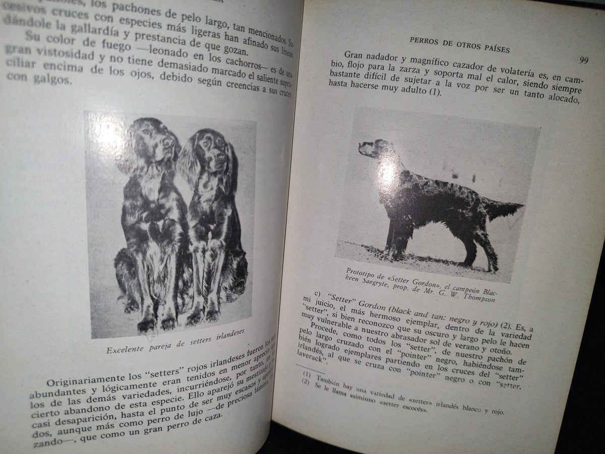 66- Perros De Caza - Fernando Huerta Ramírez - Editorial Hispanoeuropea 1968