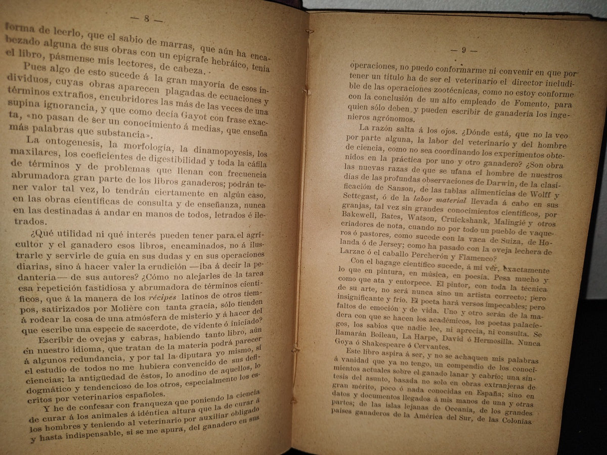 59- Ovejas Y Cabras - M. Escandón - Madrid, Ángel De San Martín, Librero Editor - 1900'S