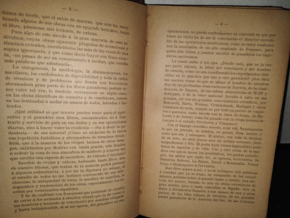 59- Ovejas Y Cabras - M. Escandón - Madrid, Ángel De San Martín, Librero Editor - 1900'S