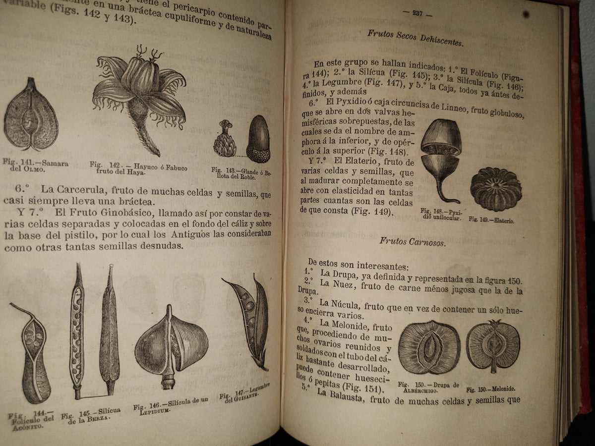 63- Manual De Historia Natural - Manuel María José De Galdo. Madrid: Librería De D. G. Hernando 1880