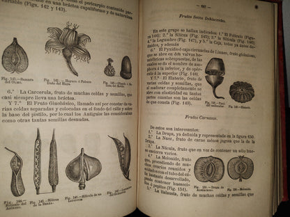 63- Manual De Historia Natural - Manuel María José De Galdo. Madrid: Librería De D. G. Hernando 1880