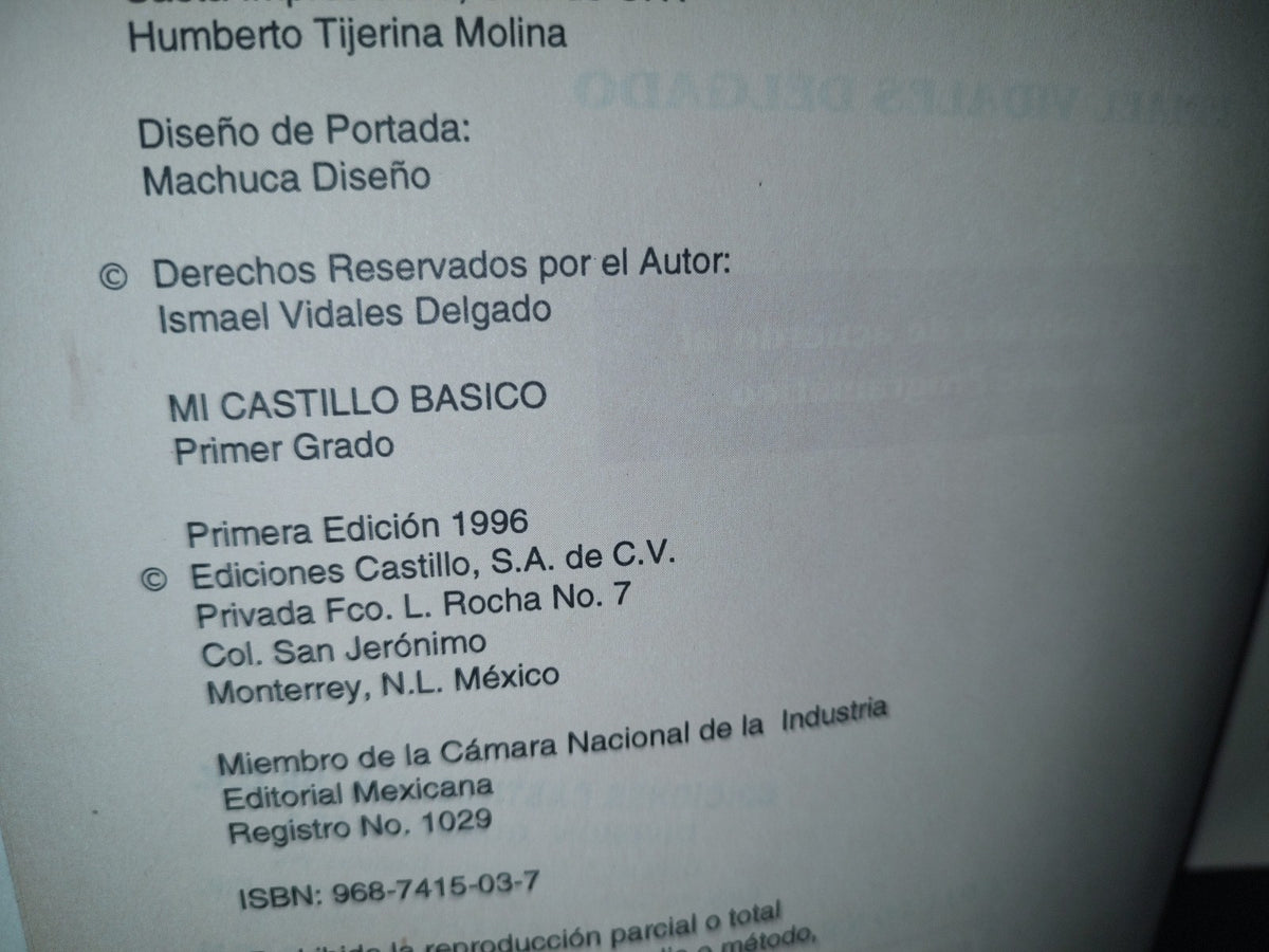 74- Mi Castillo Básico 1. Español, Matemáticas, Conocimiento Del Medio - Ismael Vidales Delgado 1996