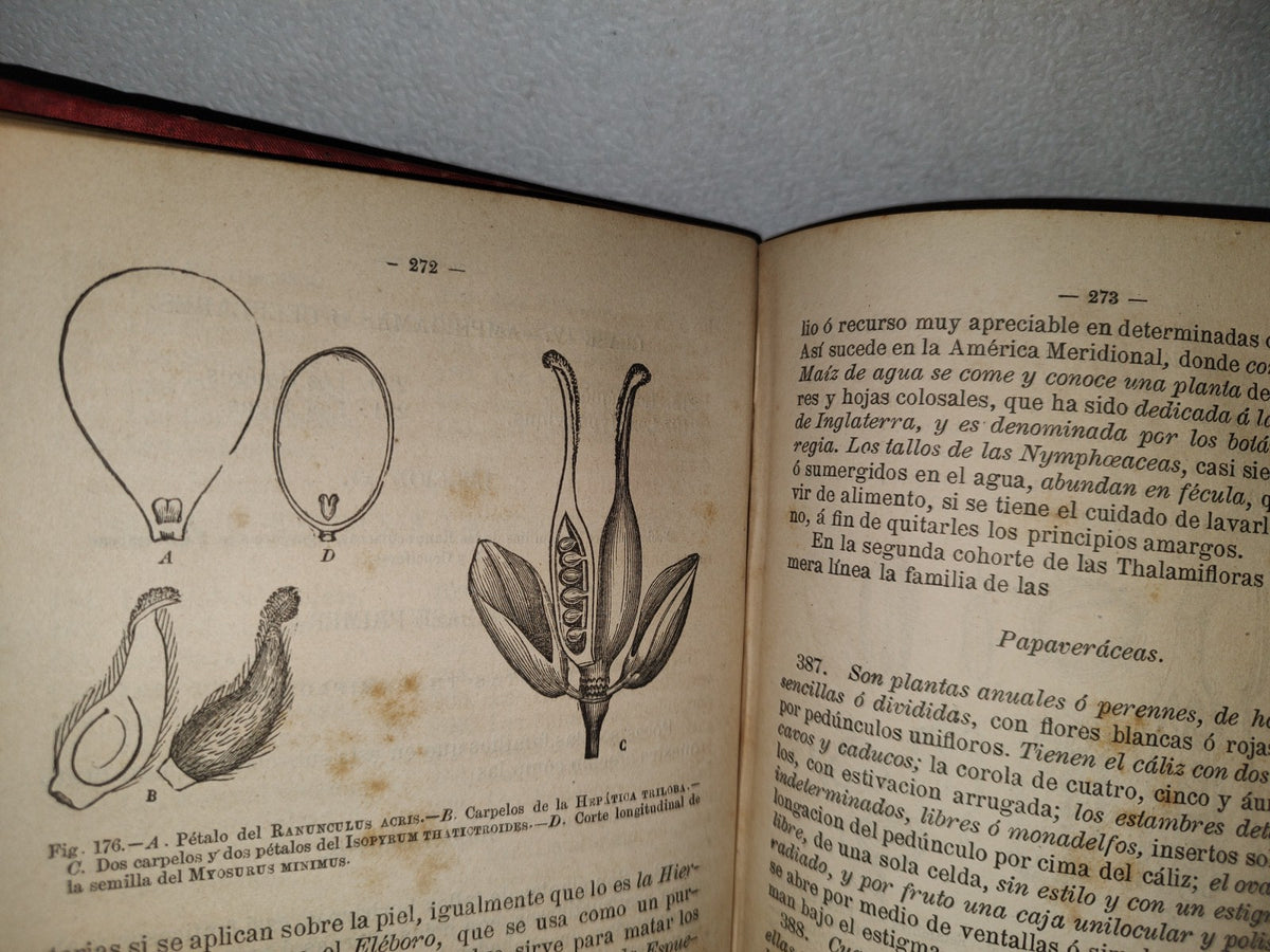 63- Manual De Historia Natural - Manuel María José De Galdo. Madrid: Librería De D. G. Hernando 1880