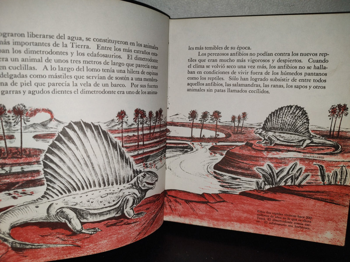 145- Mis Primeros Conocimientos. Animales Prehstóricos, Mamíferos... - Editorial Cumbre 1981