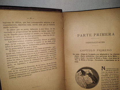 59- Ovejas Y Cabras - M. Escandón - Madrid, Ángel De San Martín, Librero Editor - 1900'S