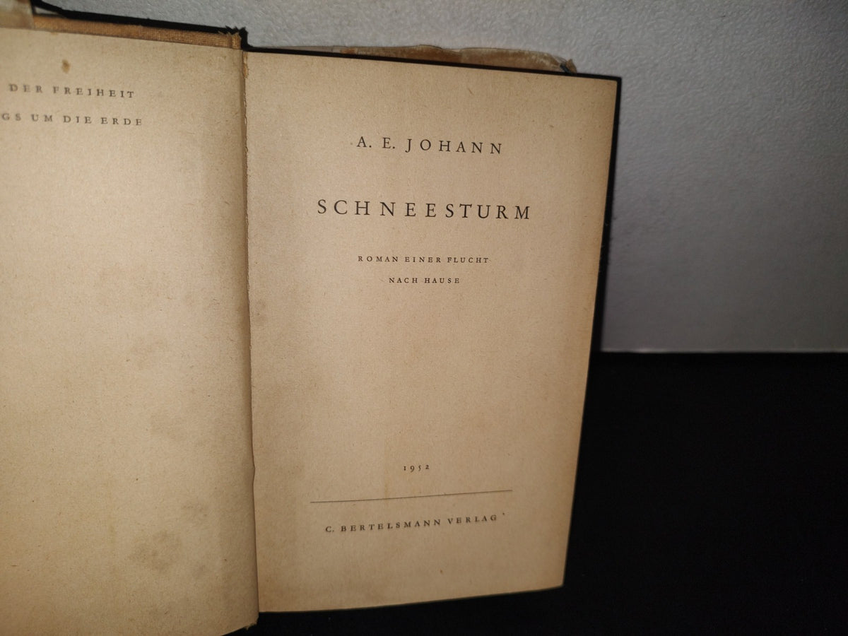 80- Schneesturm - A. E. Johann - C. Bertelsmann Verlag - 1952