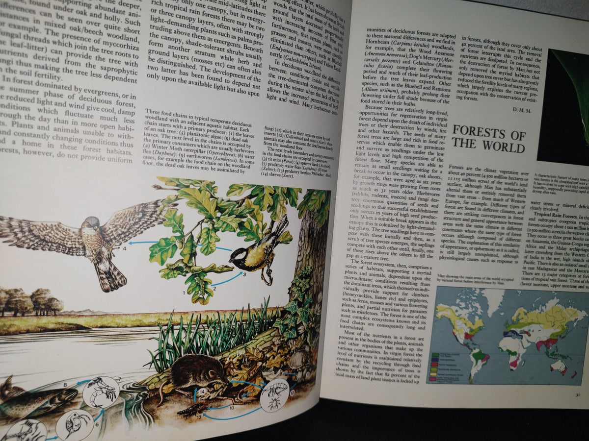 23- Árboles Del Mundo / The Oxford Encyclopedia Of Trees Of The World - 1981