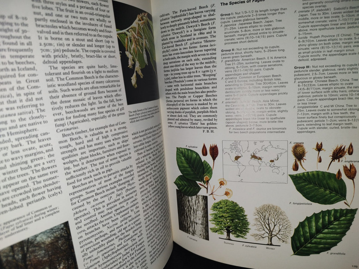 23- Árboles Del Mundo / The Oxford Encyclopedia Of Trees Of The World - 1981