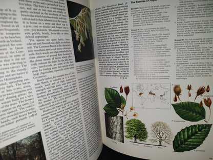 23- Árboles Del Mundo / The Oxford Encyclopedia Of Trees Of The World - 1981