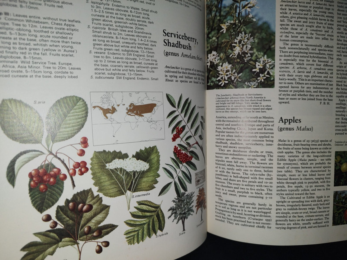 23- Árboles Del Mundo / The Oxford Encyclopedia Of Trees Of The World - 1981