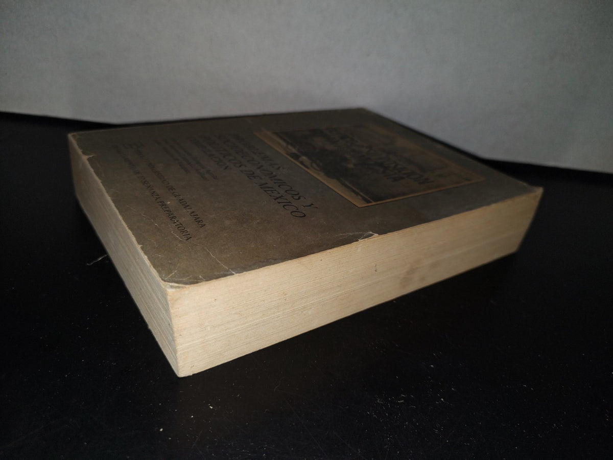 80- Problemas Socioeconómicos Y Políticos De México. Compilación - Héctor Eduardo Zaragoza - Universidad De Guadalajara, 1984