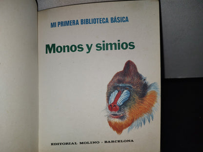 188- Mi Primera Biblioteca Básica 26. Monos Y Simios - Editorial Molino 1972