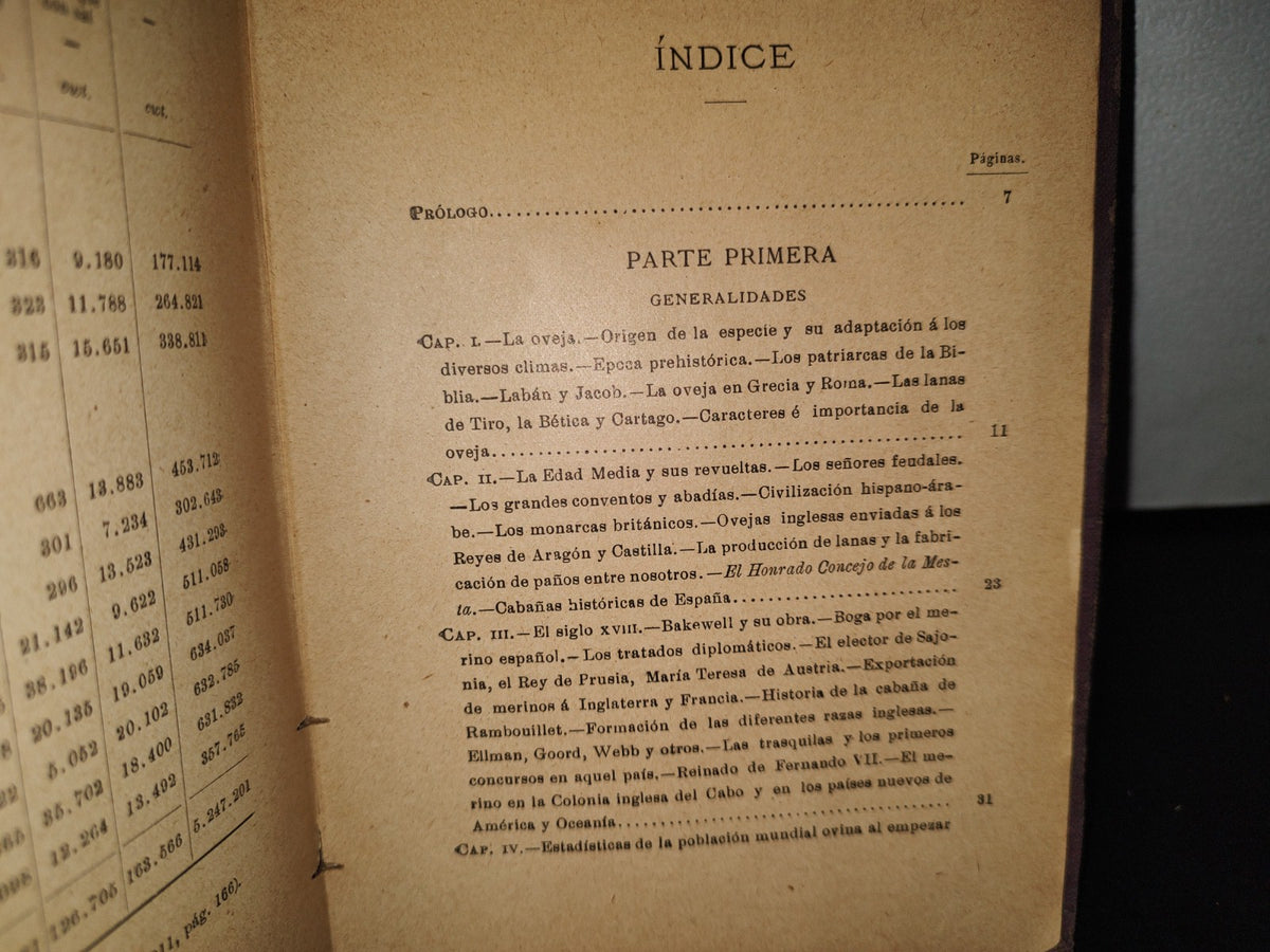 59- Ovejas Y Cabras - M. Escandón - Madrid, Ángel De San Martín, Librero Editor - 1900'S