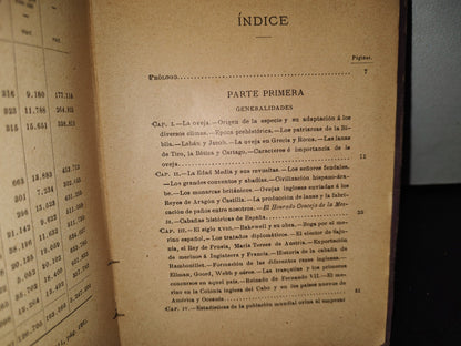 59- Ovejas Y Cabras - M. Escandón - Madrid, Ángel De San Martín, Librero Editor - 1900'S