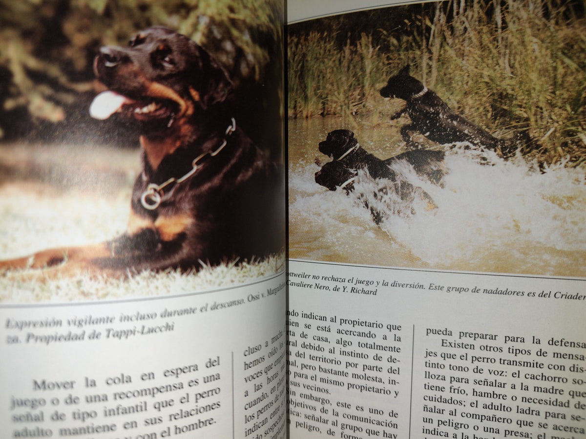 197- Perros De Raza. El Rottweiler - Marina Salmoiraghi