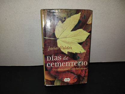197- Días De Cementerio. Una Fábula Sobre La Verdadera Riqueza - Javier Valdés - 1A. Ed. 2006