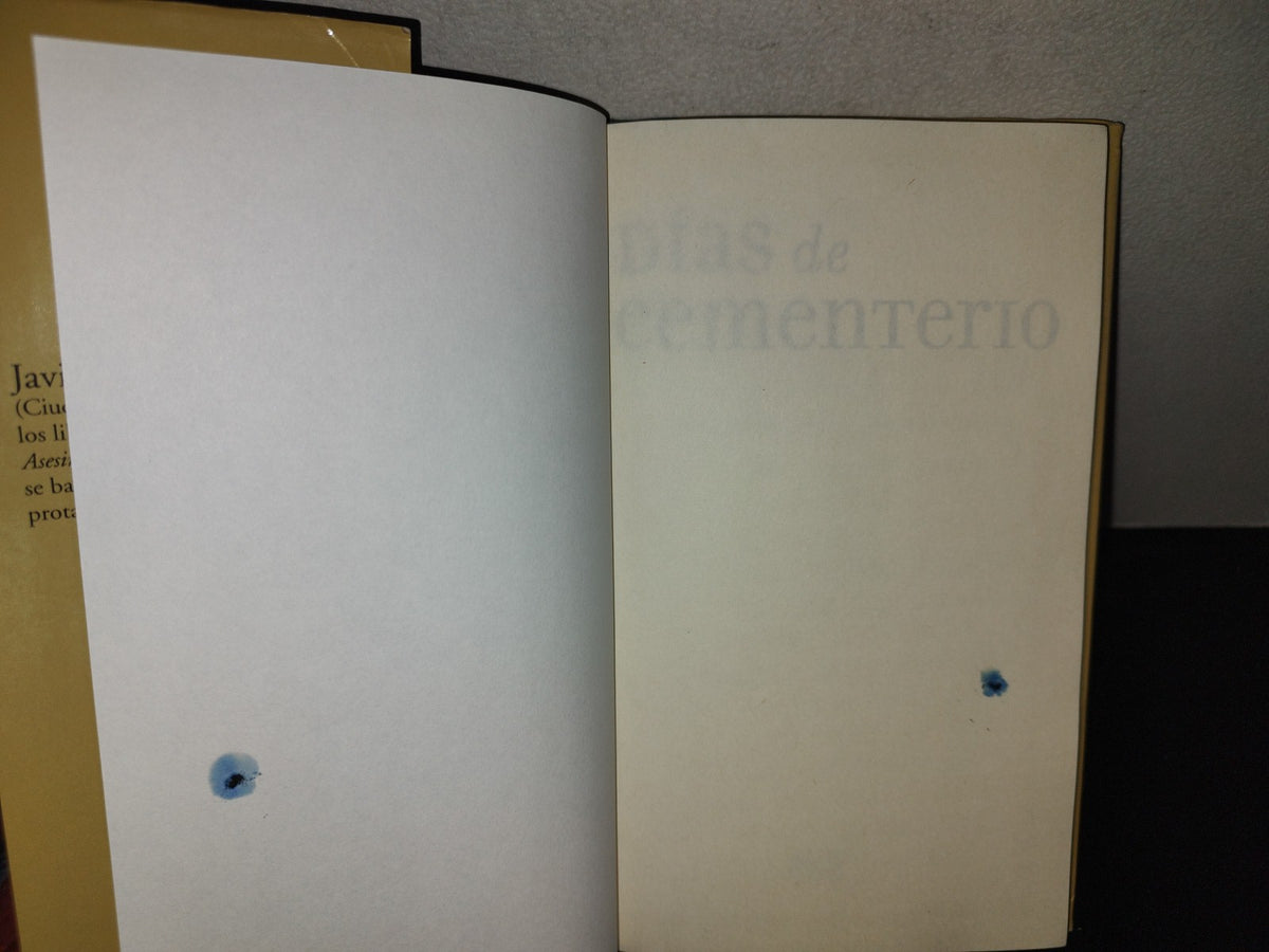 197- Días De Cementerio. Una Fábula Sobre La Verdadera Riqueza - Javier Valdés - 1A. Ed. 2006