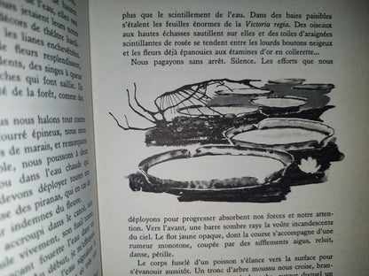 199- Chasseur D'Orchidées - Ernst Löhndorff - Le Livre Contemporain, 1959