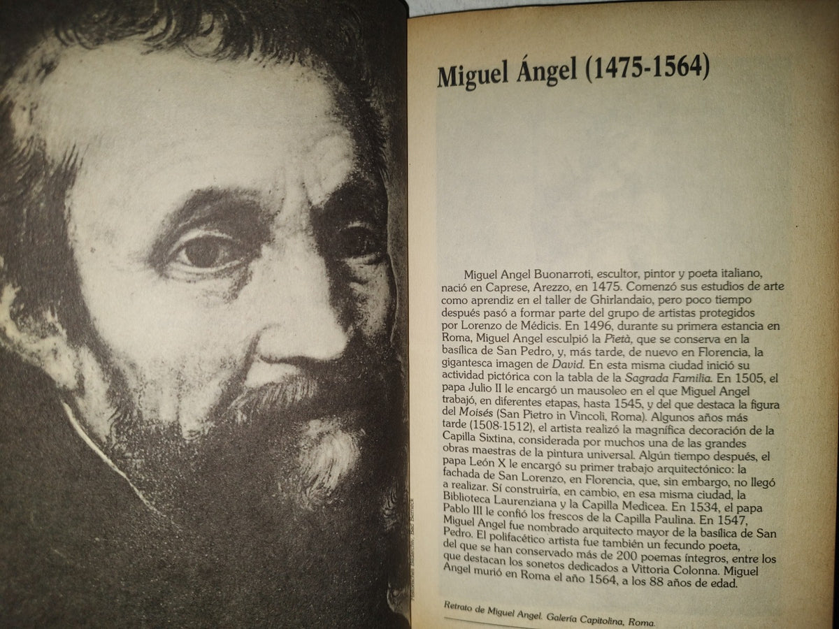 200- Miguel Angel - Heinrich Koch. Biblioteca Salvat De Grandes Bografías - 1984