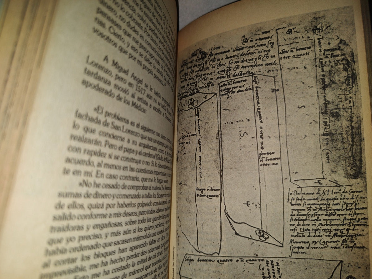 200- Miguel Angel - Heinrich Koch. Biblioteca Salvat De Grandes Bografías - 1984
