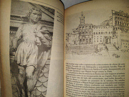 200- Miguel Angel - Heinrich Koch. Biblioteca Salvat De Grandes Bografías - 1984