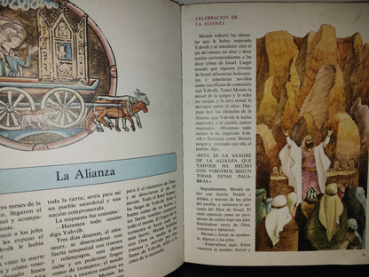 219- Mi Primera Biblia - Editorial Everest, S. A., Colección Mi Primer Libro. 1988