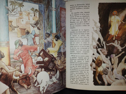 219- Mi Primera Biblia - Editorial Everest, S. A., Colección Mi Primer Libro. 1988