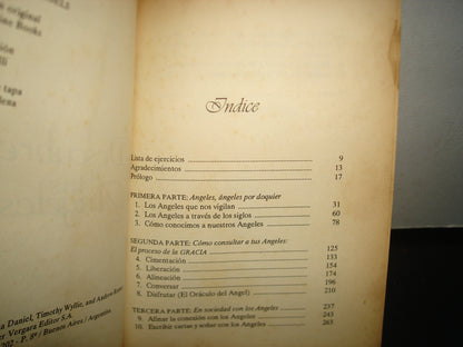 6- Descubre A Tus Ángeles - Alma Daniel, Timothy Willye Y Andrew Ramer