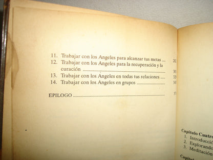 6- Descubre A Tus Ángeles - Alma Daniel, Timothy Willye Y Andrew Ramer