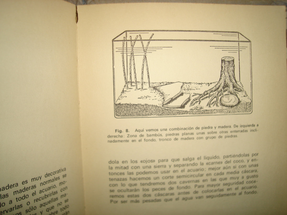 5- El Abc Del Acuario - Wolfang Ostermöller - 1970