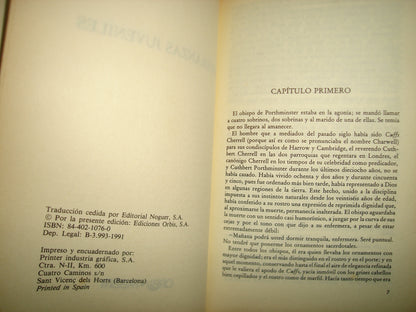 8- Esperanzas Juveniles - John Galsworthy