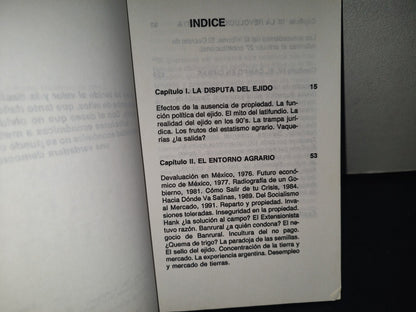 211- La Disputa Por El Ejido - Luis Pazos - Editorial Diana 1992