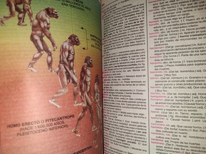 211- Diccionario Escolar Academia Secundaria - Fernández Editores 2005