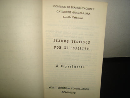 5- Seamos Testigos Por El Espíritu - Comisión De Evangelización Y Catequesis Guadalajara