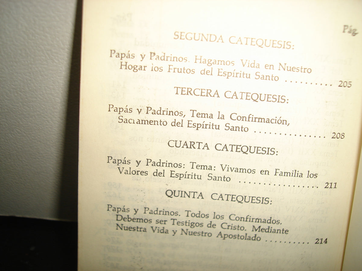 5- Seamos Testigos Por El Espíritu - Comisión De Evangelización Y Catequesis Guadalajara