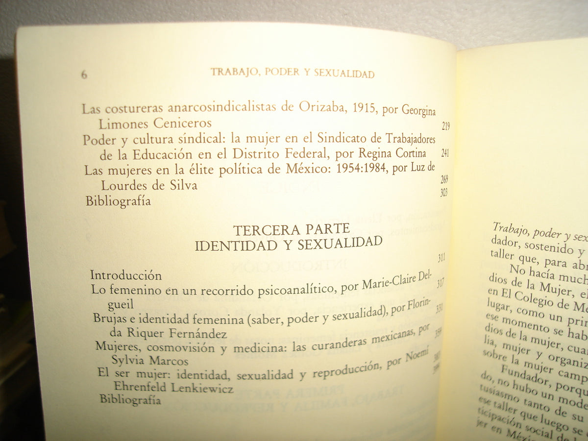 6- Trabajo, Poder Y Sexualidad. Programa Interdisciplinario De Estudios De La Mujer - El Colegio De México. Primera Edición 1989